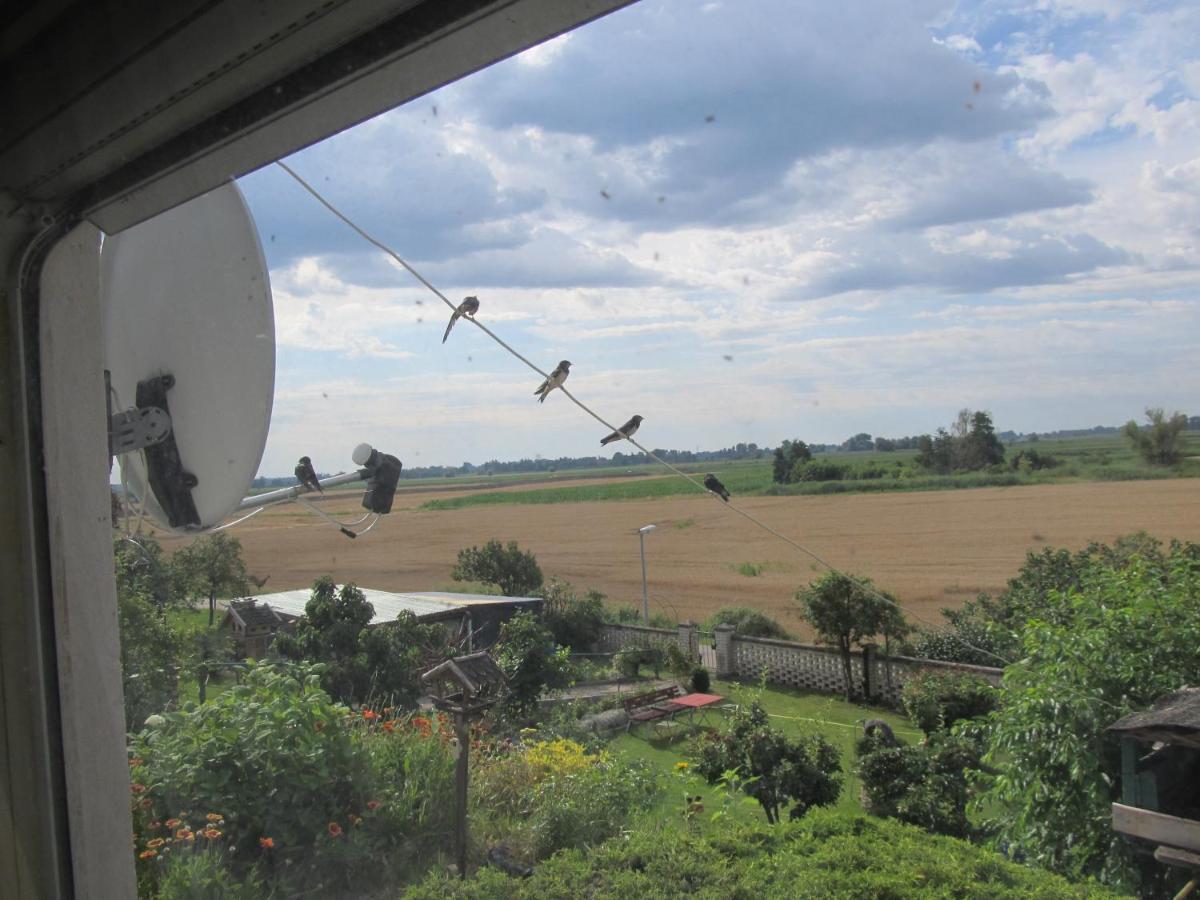 Zum Wiesengrund Im Oderbruch Altglietzen Esterno foto