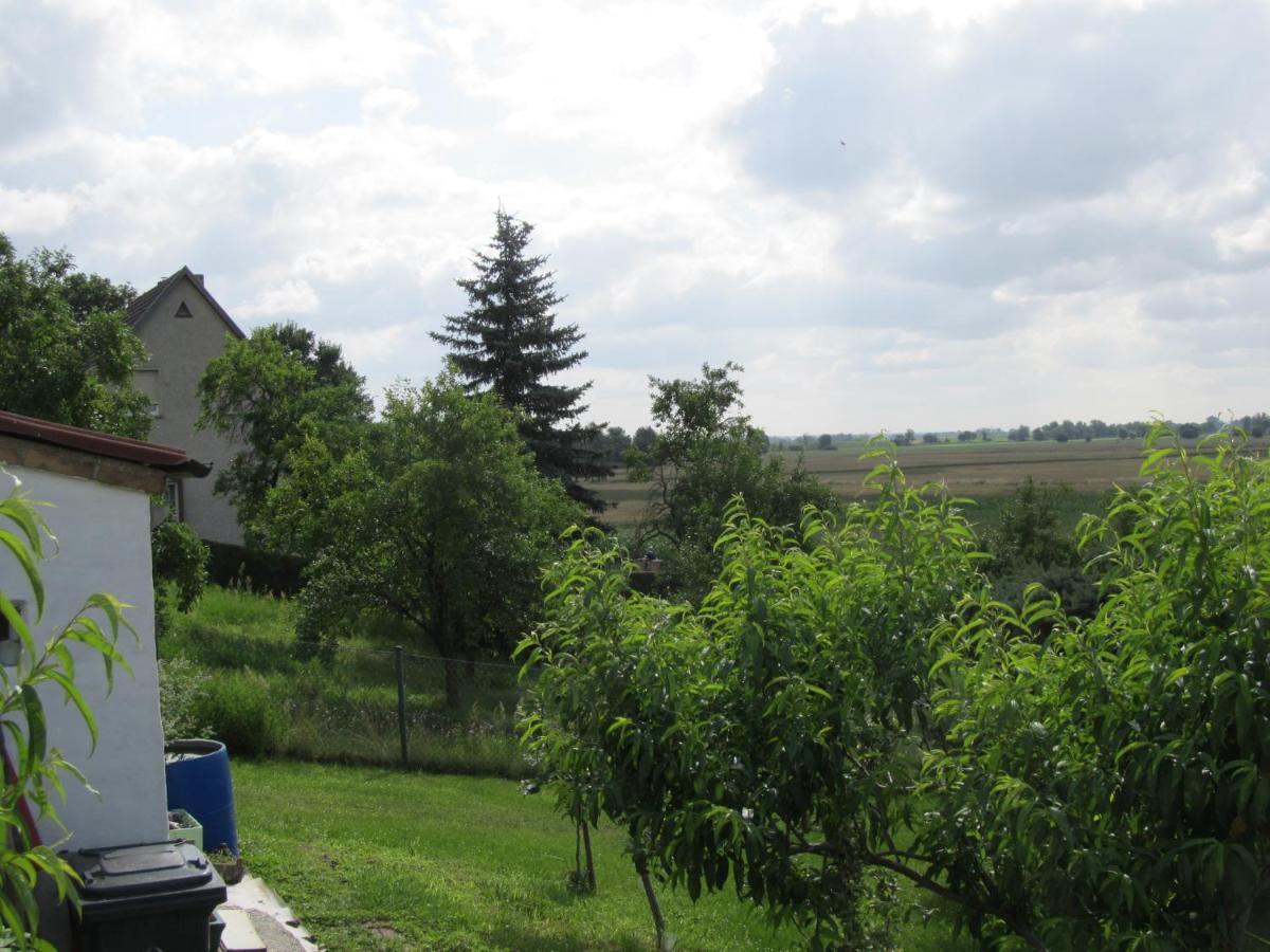 Zum Wiesengrund Im Oderbruch Altglietzen Esterno foto