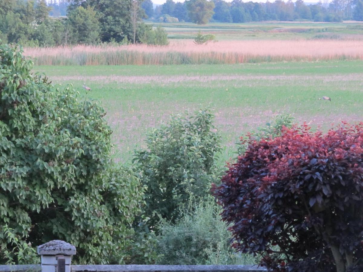 Zum Wiesengrund Im Oderbruch Altglietzen Esterno foto
