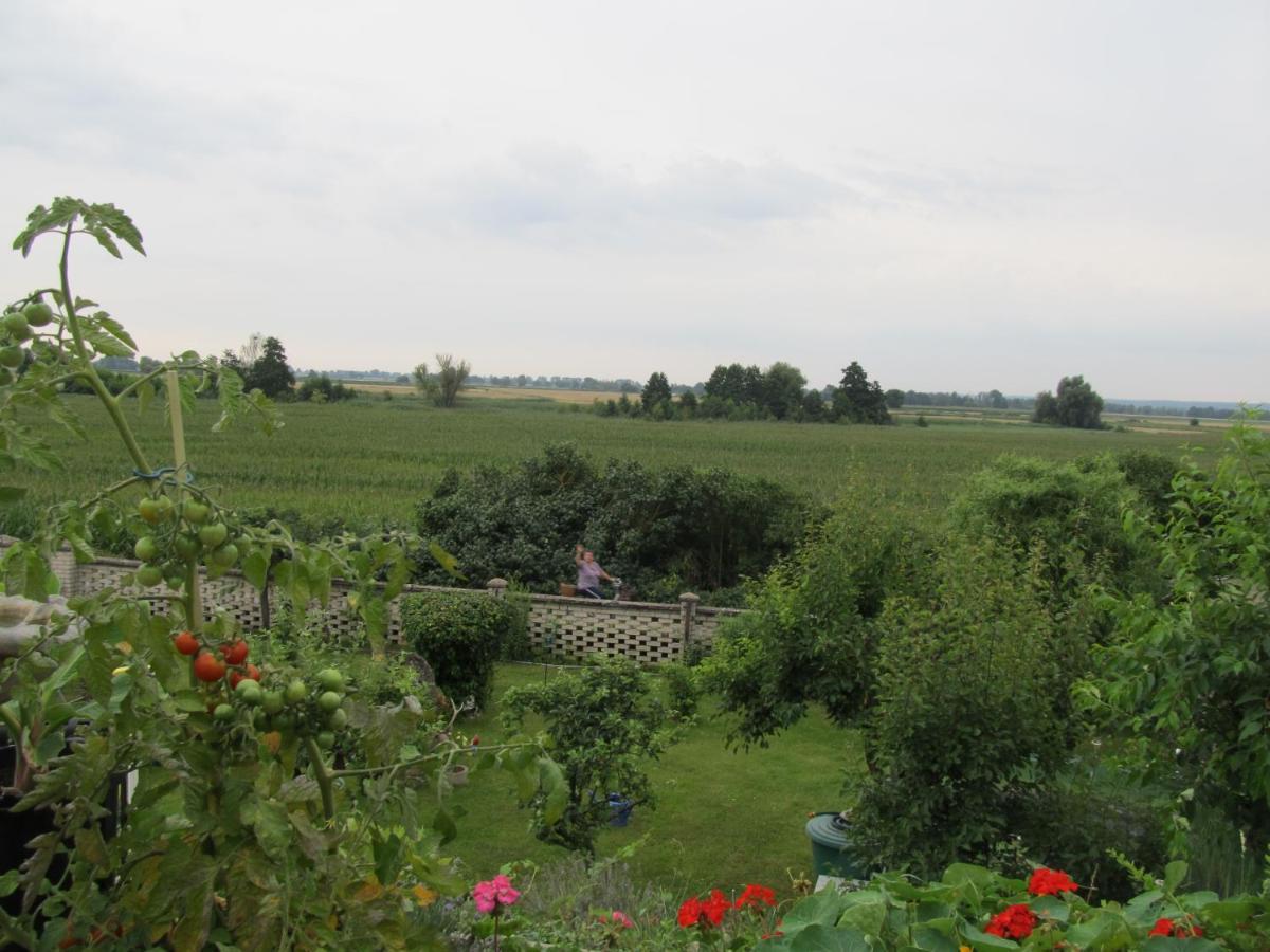 Zum Wiesengrund Im Oderbruch Altglietzen Esterno foto